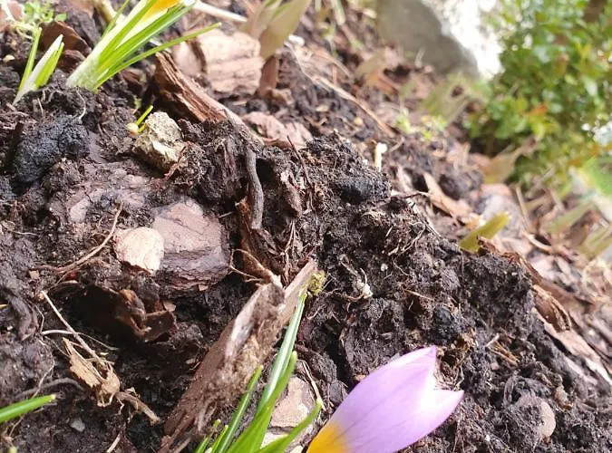 Goscinne Harnas 民宿 库多瓦-兹德鲁伊