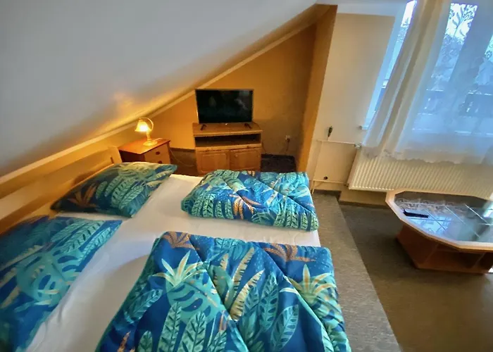 Homestay szállás Goscinne Harnas